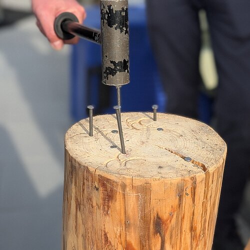 Sommerfest 2025: Sonne, Musik und ein neuer Meilenstein