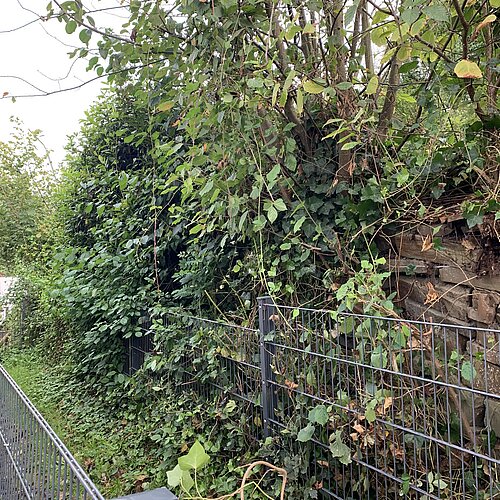 Azubi Social Day 2024 - Ein voller Erfolg für alle Beteiligten