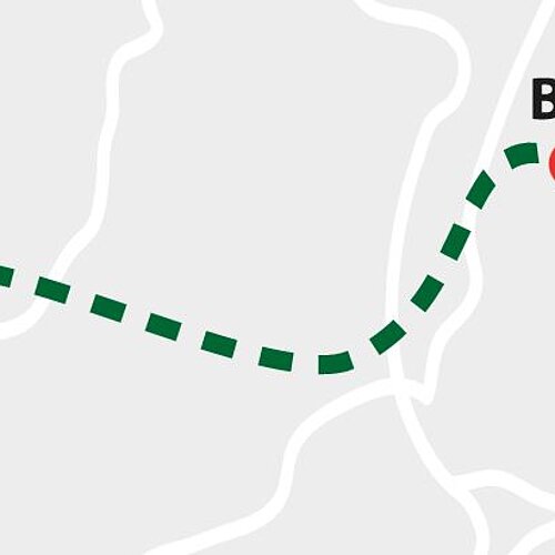 Mit 3.000.000 Schritten auf das Siegertreppchen