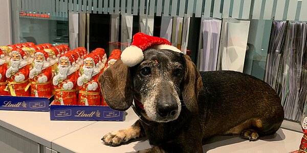 Der Nikolaus war da!