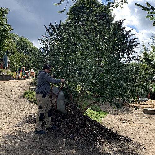 Azubi Social Day 2024 - Ein voller Erfolg für alle Beteiligten