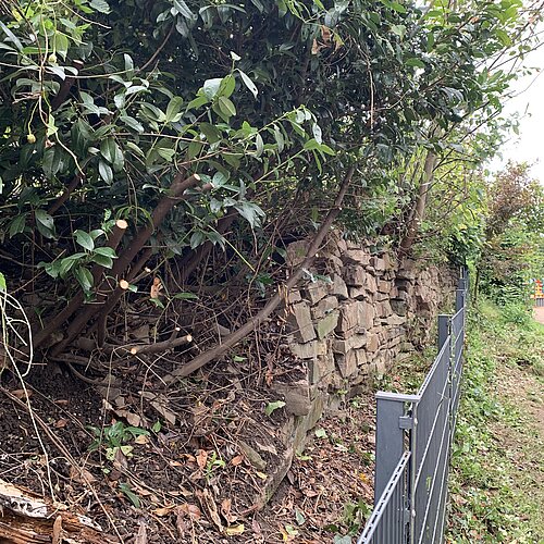 Azubi Social Day 2024 - Ein voller Erfolg für alle Beteiligten