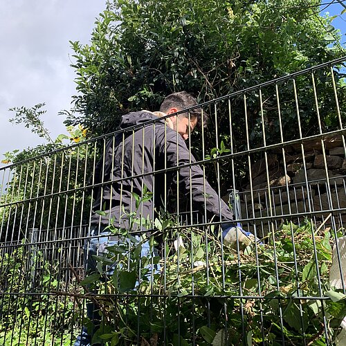 Azubi Social Day 2024 - Ein voller Erfolg für alle Beteiligten